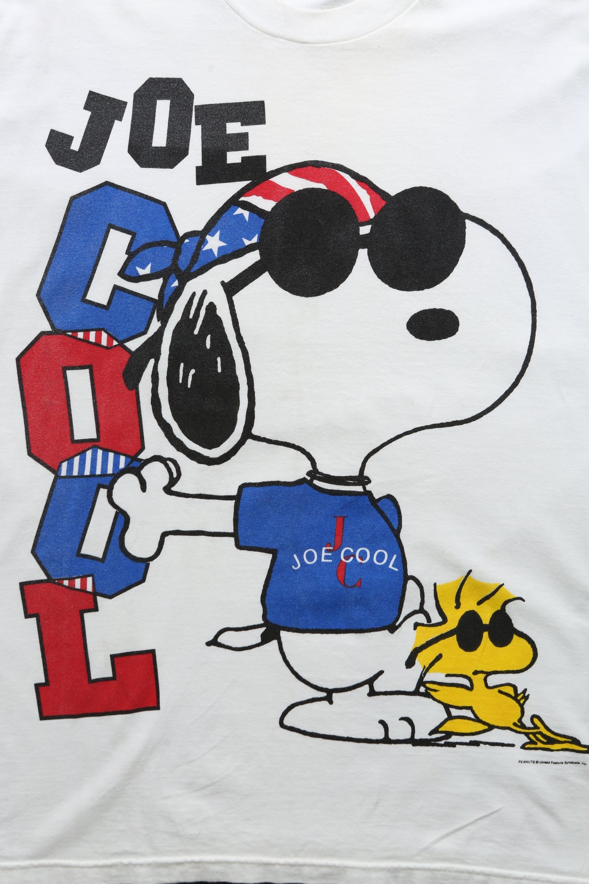 Joe Cool Snoopy and Woodstock Graphic T-shirt