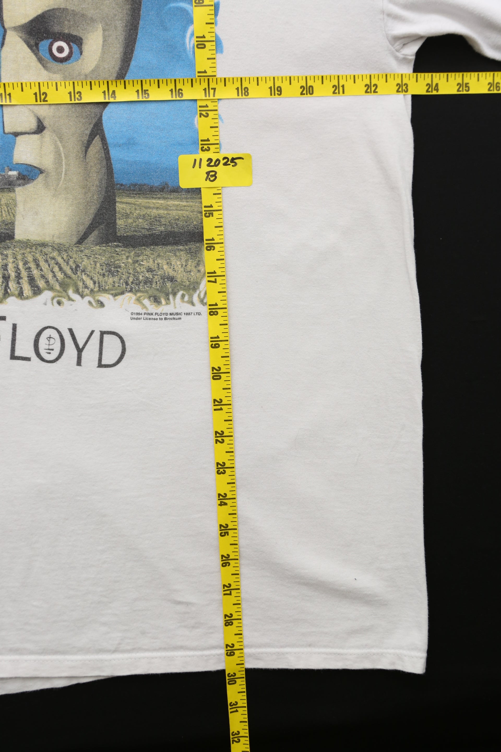 1994 Pink Floyd The Division Bell Graphic T-shirt