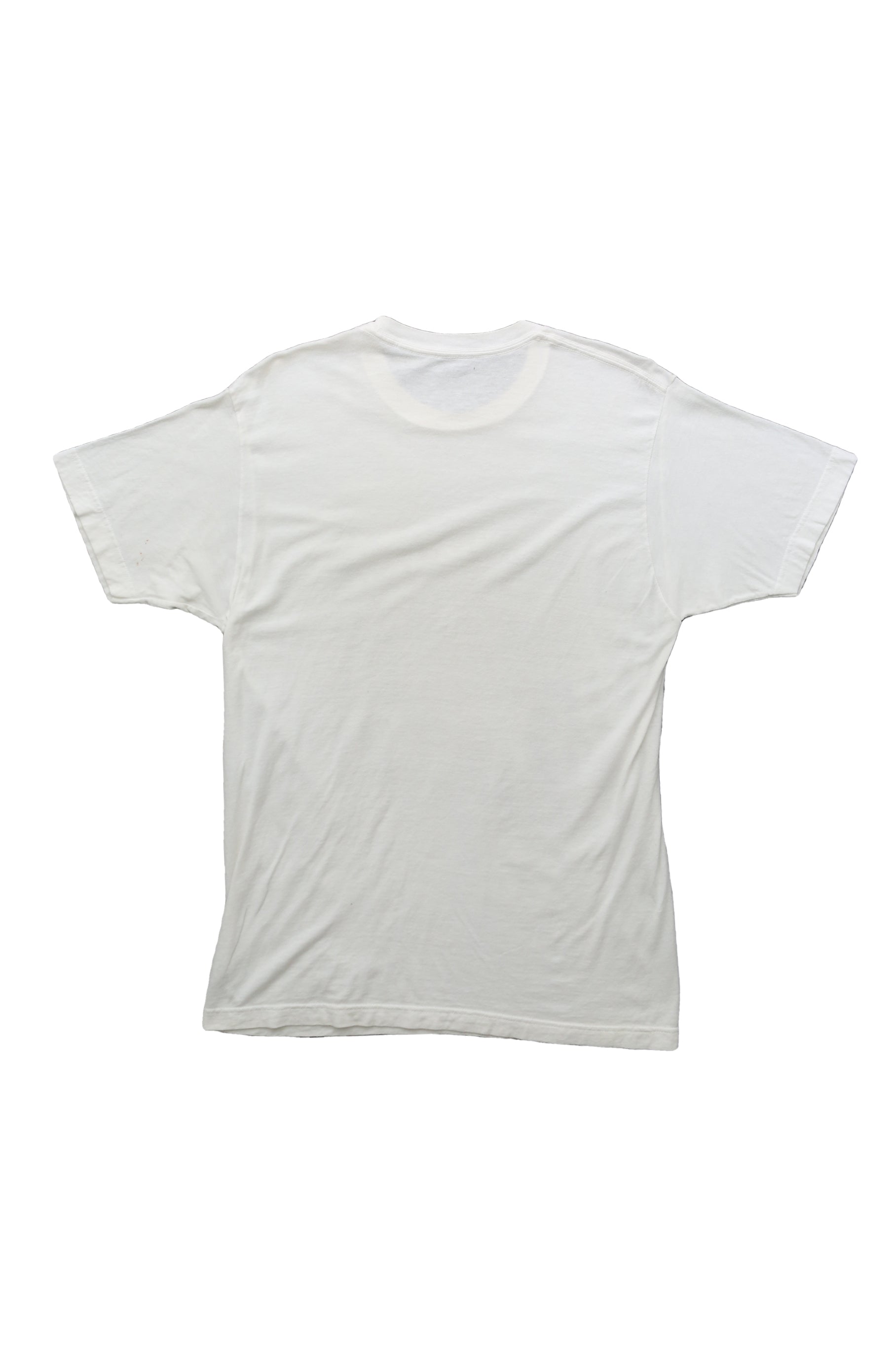 Y2K Led Zeppelin Physical Graffiti T shirt