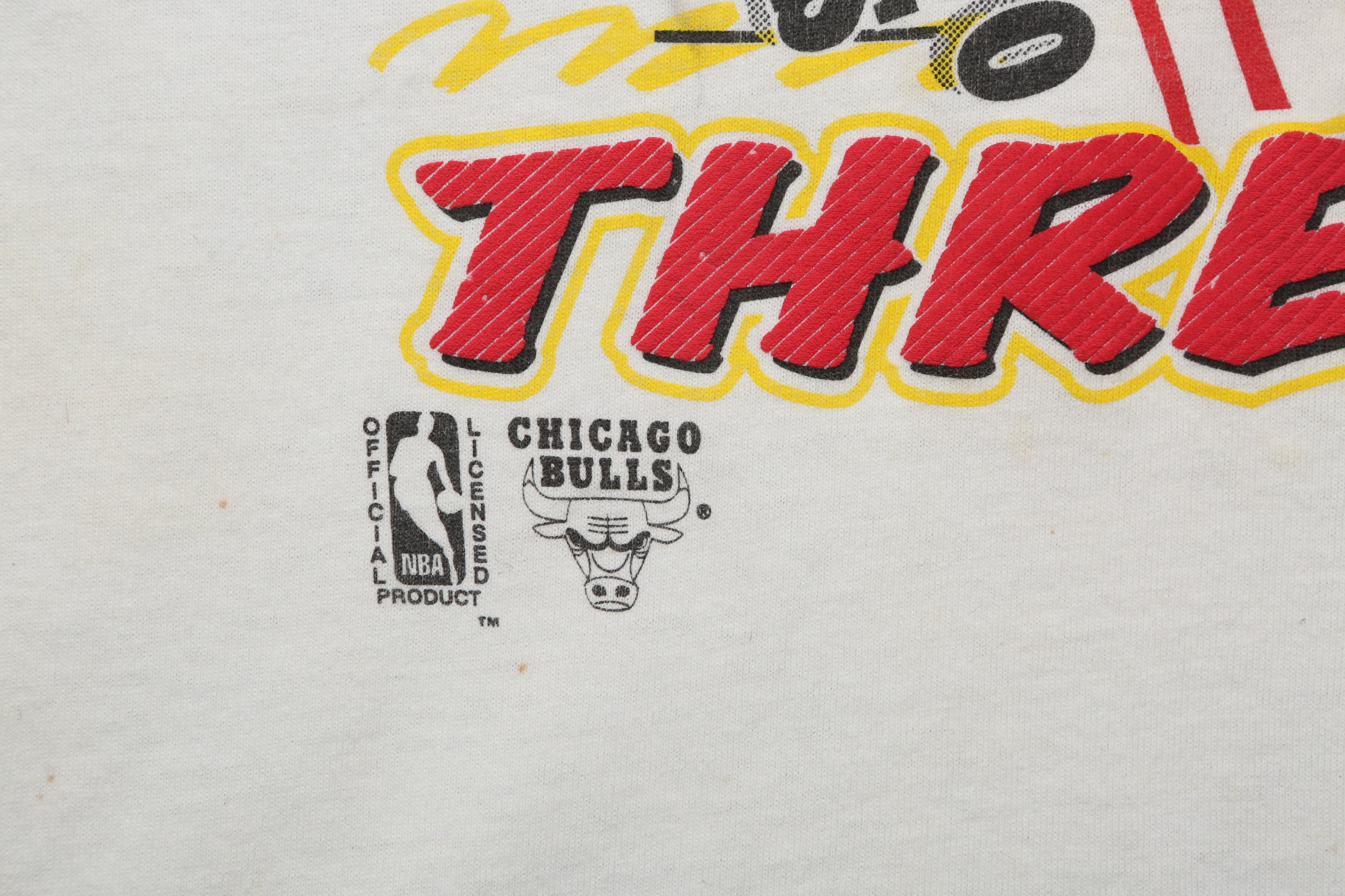 1993 Vintage Chicago Bulls World Champs t-shirt