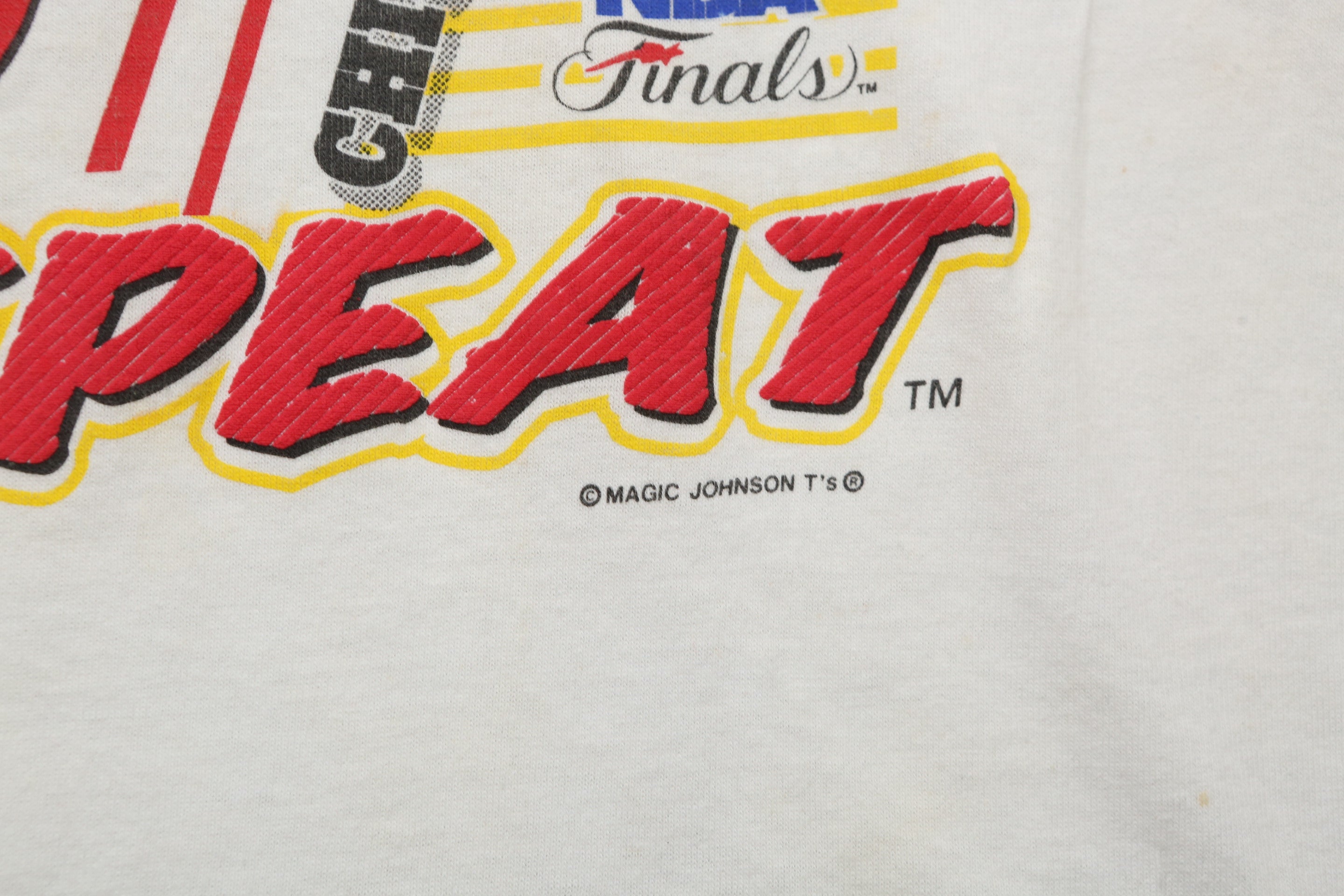 1993 Vintage Chicago Bulls World Champs t-shirt
