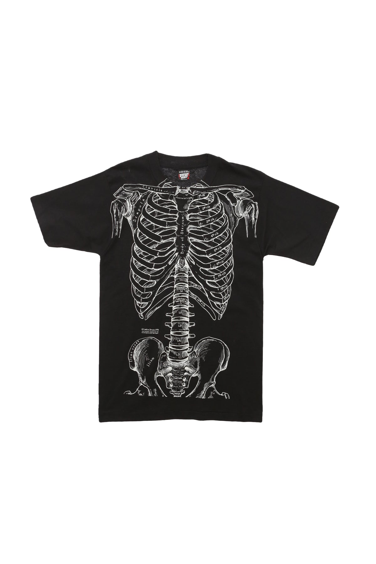 1978 Leslie Arwin Anatomical Skeleton T-shirt