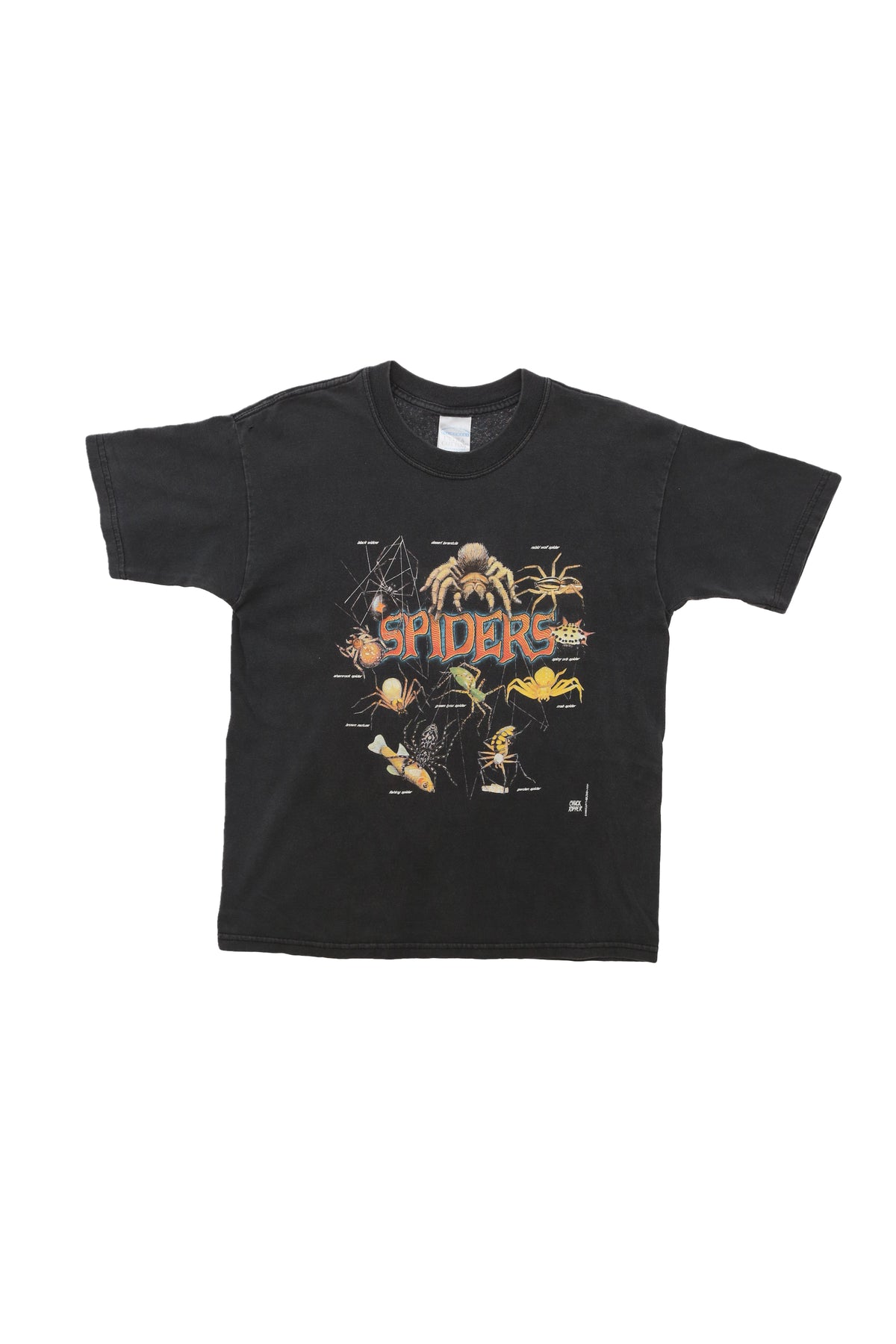 Vintage Spiders Nature Chart T-shirt