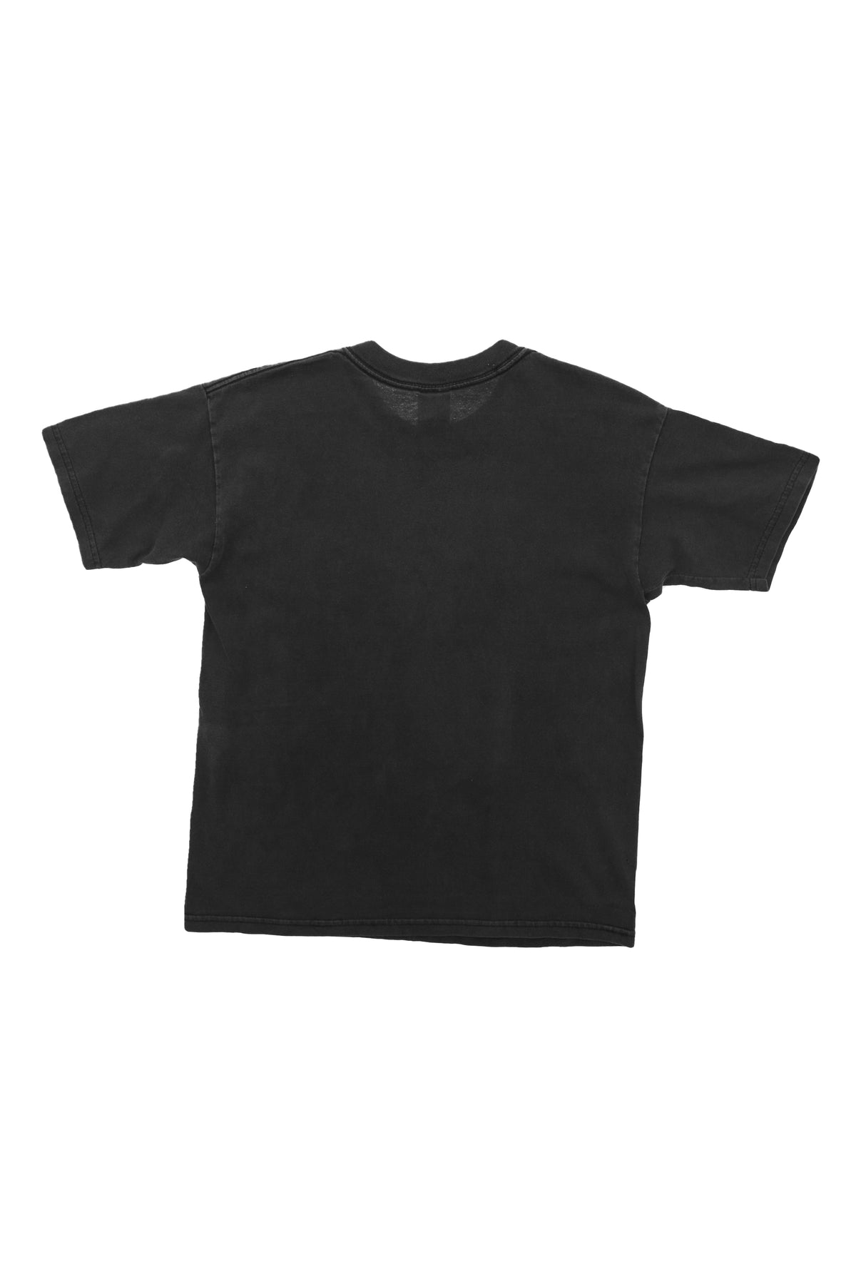 Vintage Spiders Nature Chart T-shirt