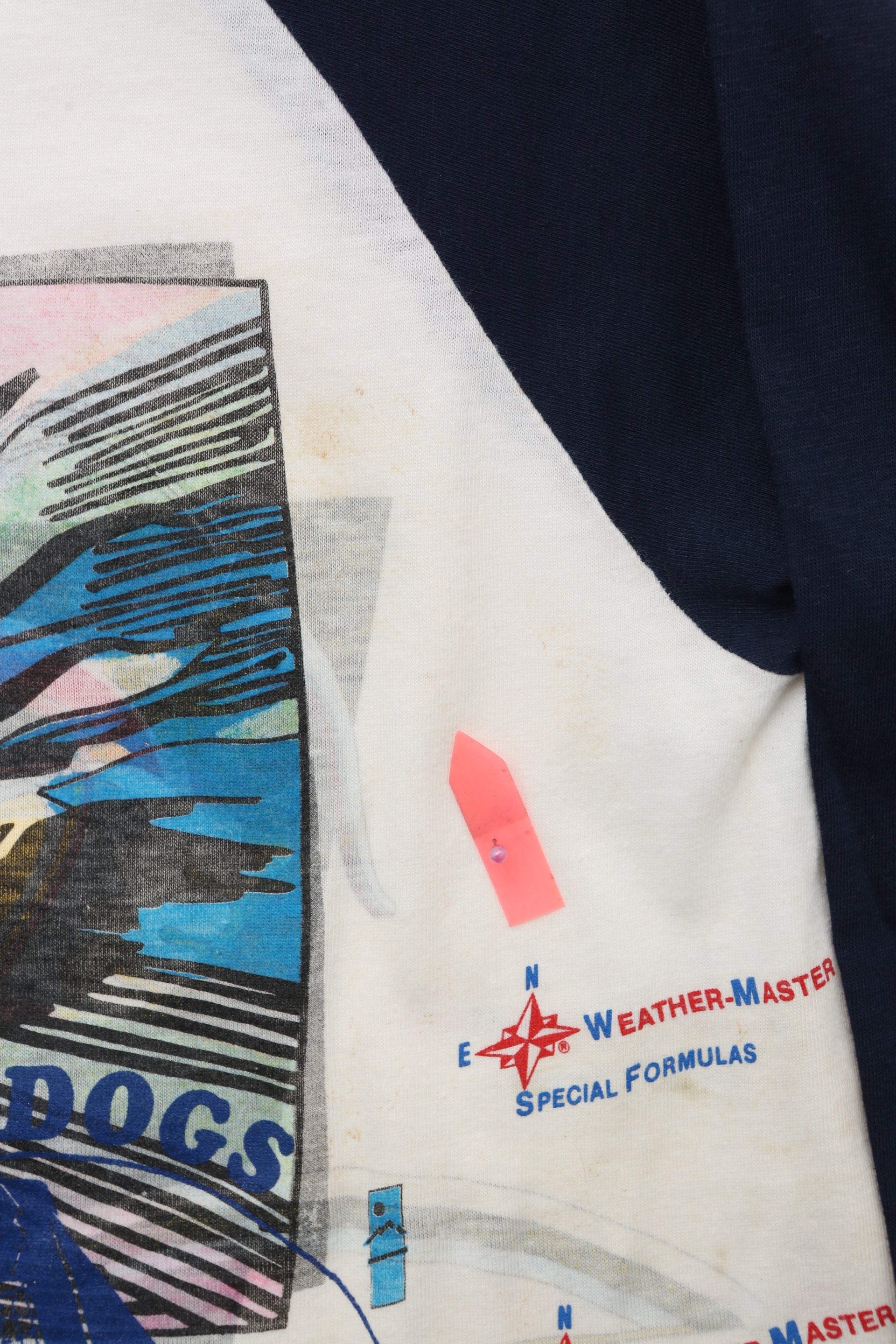 1980 Vintage Mad Dogs & Englishmen Raglan tee