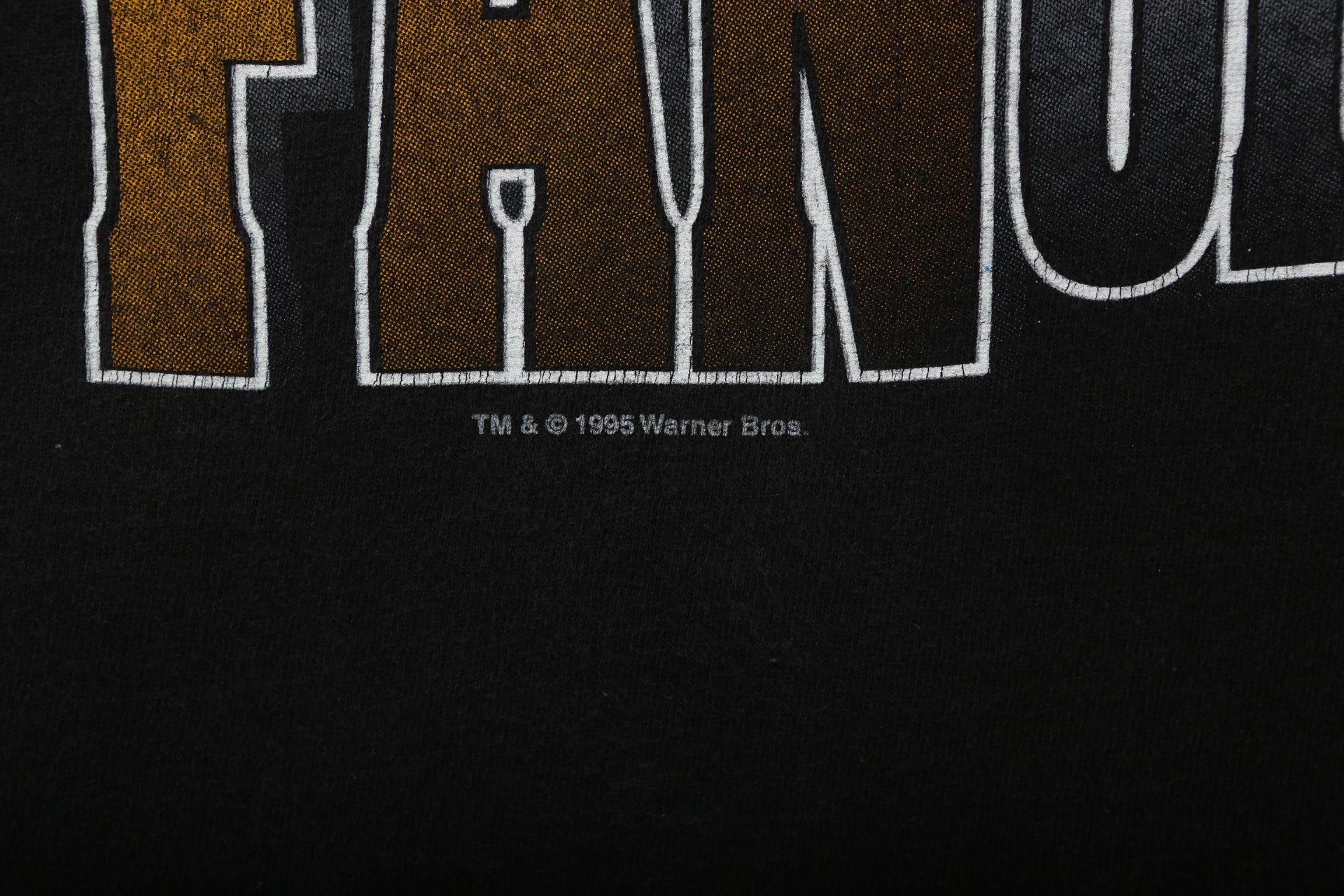 1995 Looney Tunes x  Las Vegas Raiders T-Shirt