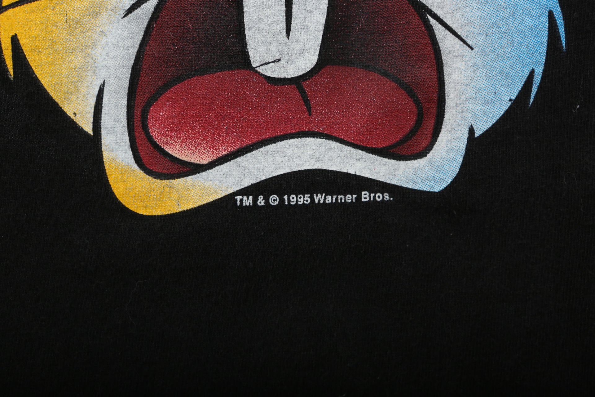 1995 Looney Tunes x  Las Vegas Raiders T-Shirt