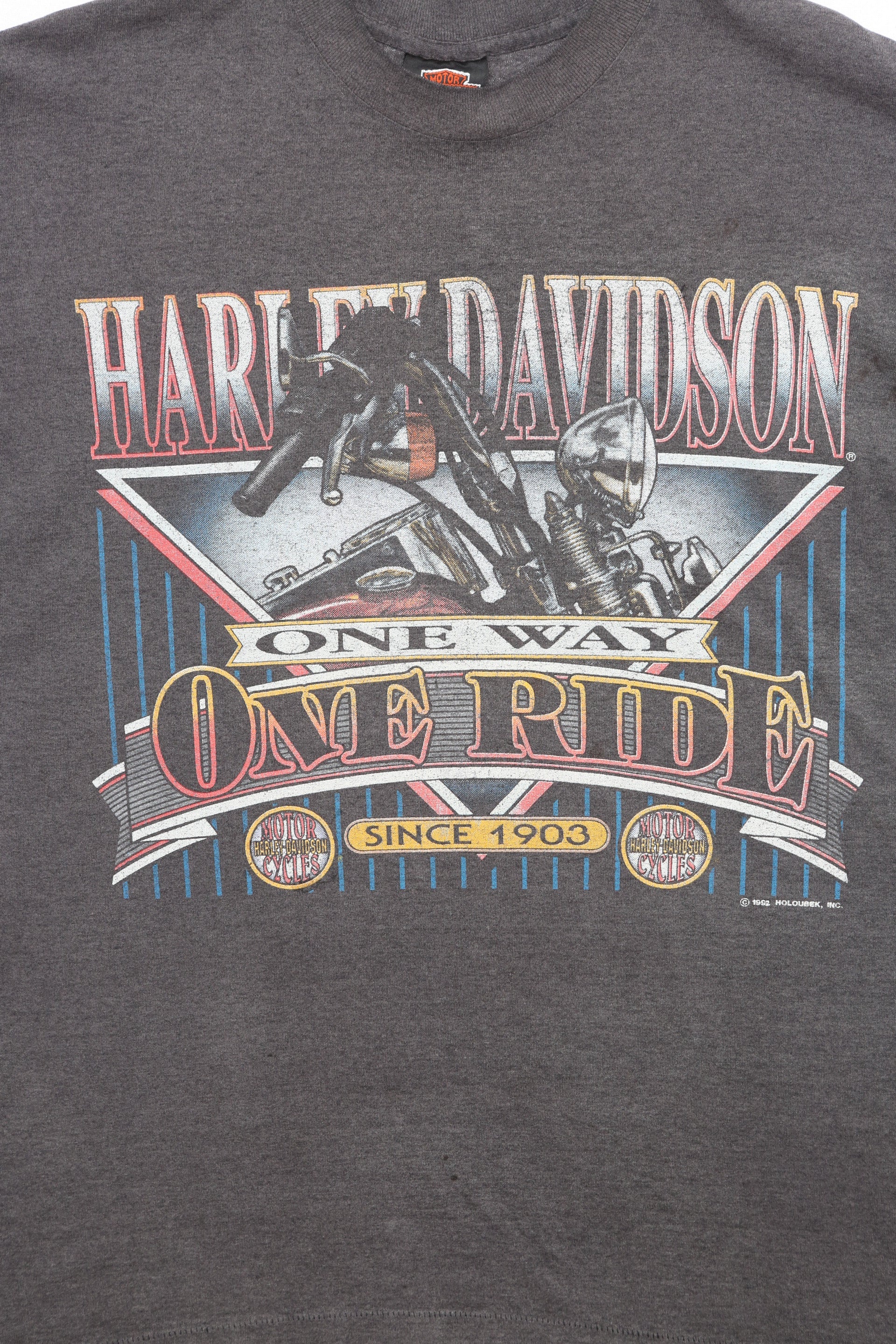 Harley Davidson Motorcycle T-shirt