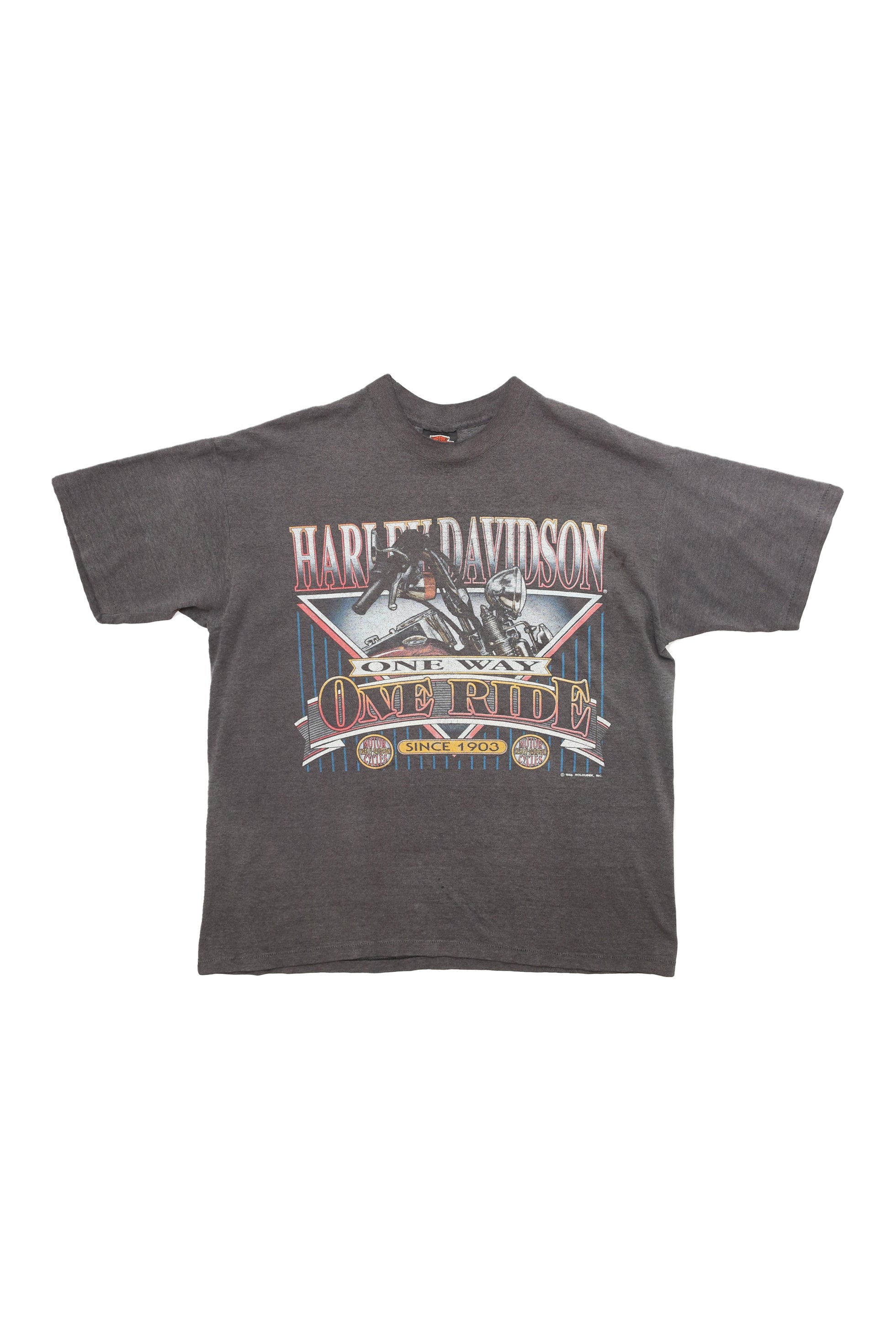 Harley Davidson Motorcycle T-shirt