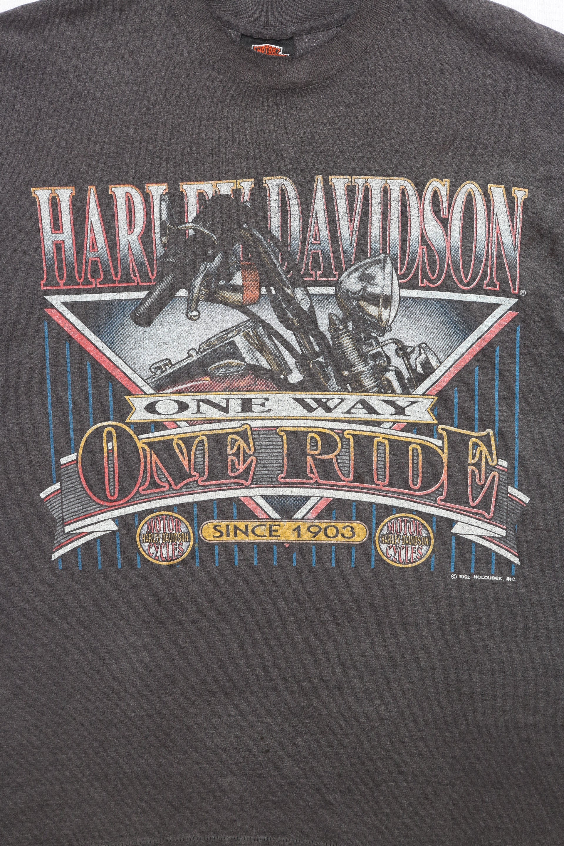 Harley Davidson Motorcycle T-shirt