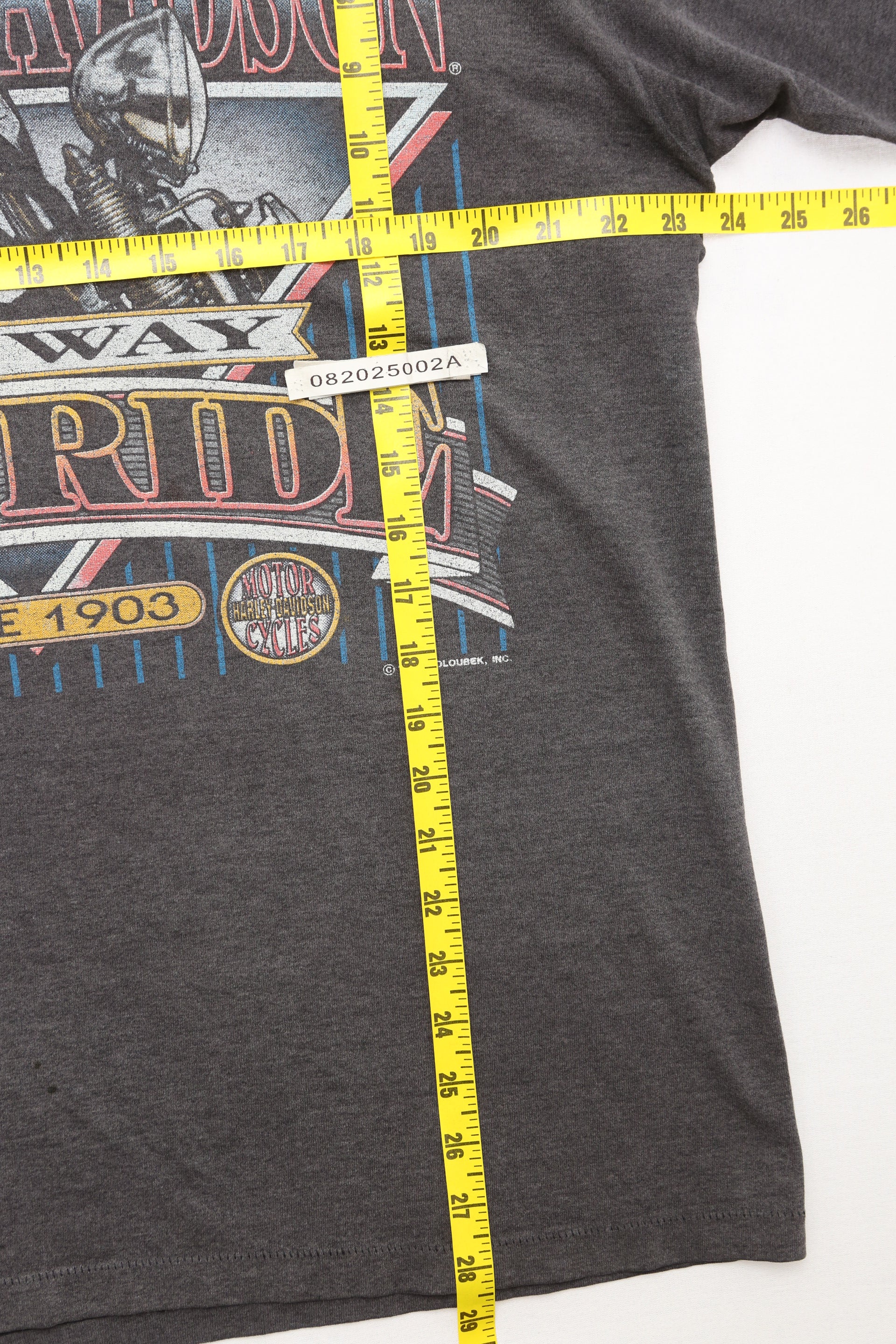 Harley Davidson Motorcycle T-shirt