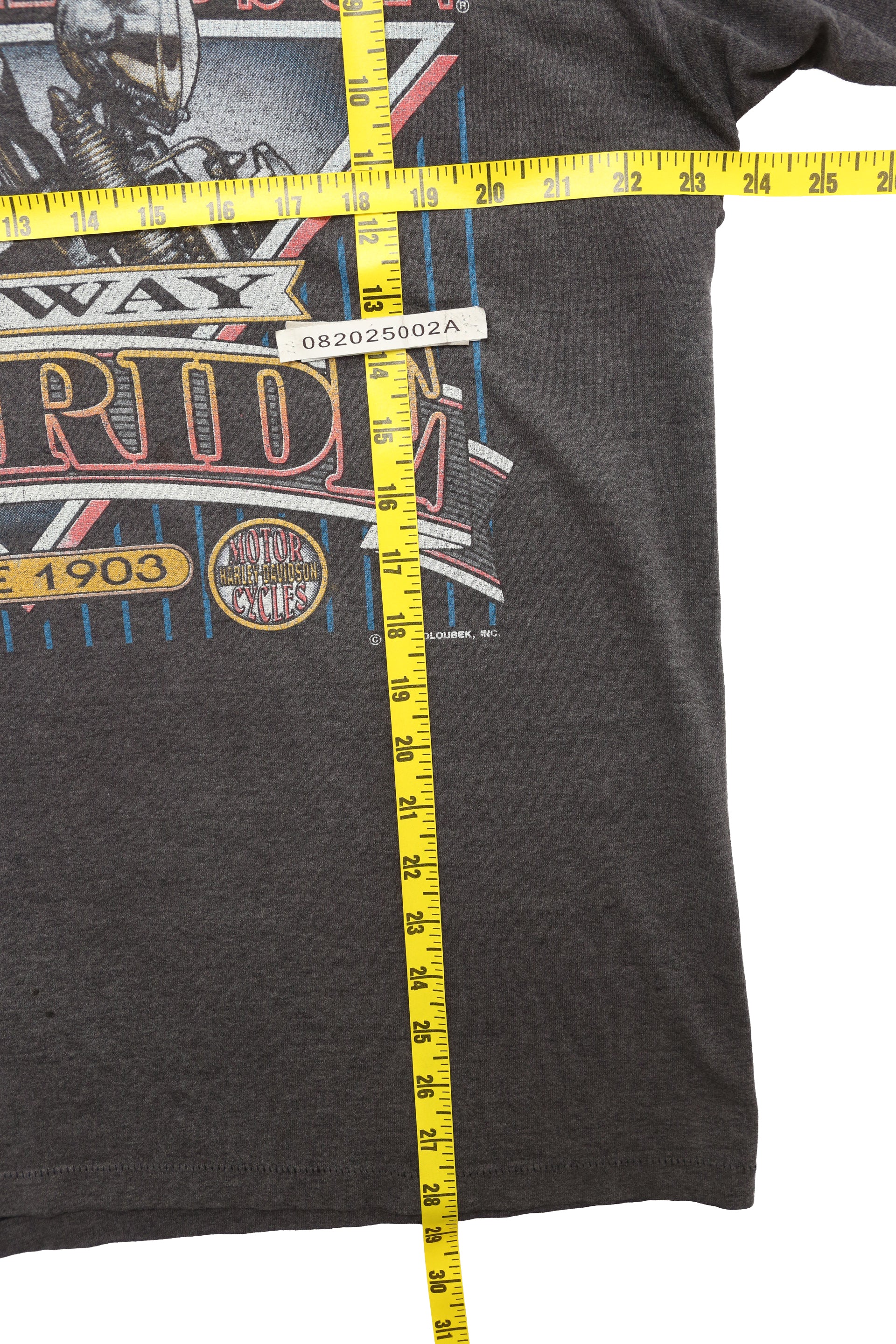 Harley Davidson Motorcycle T-shirt