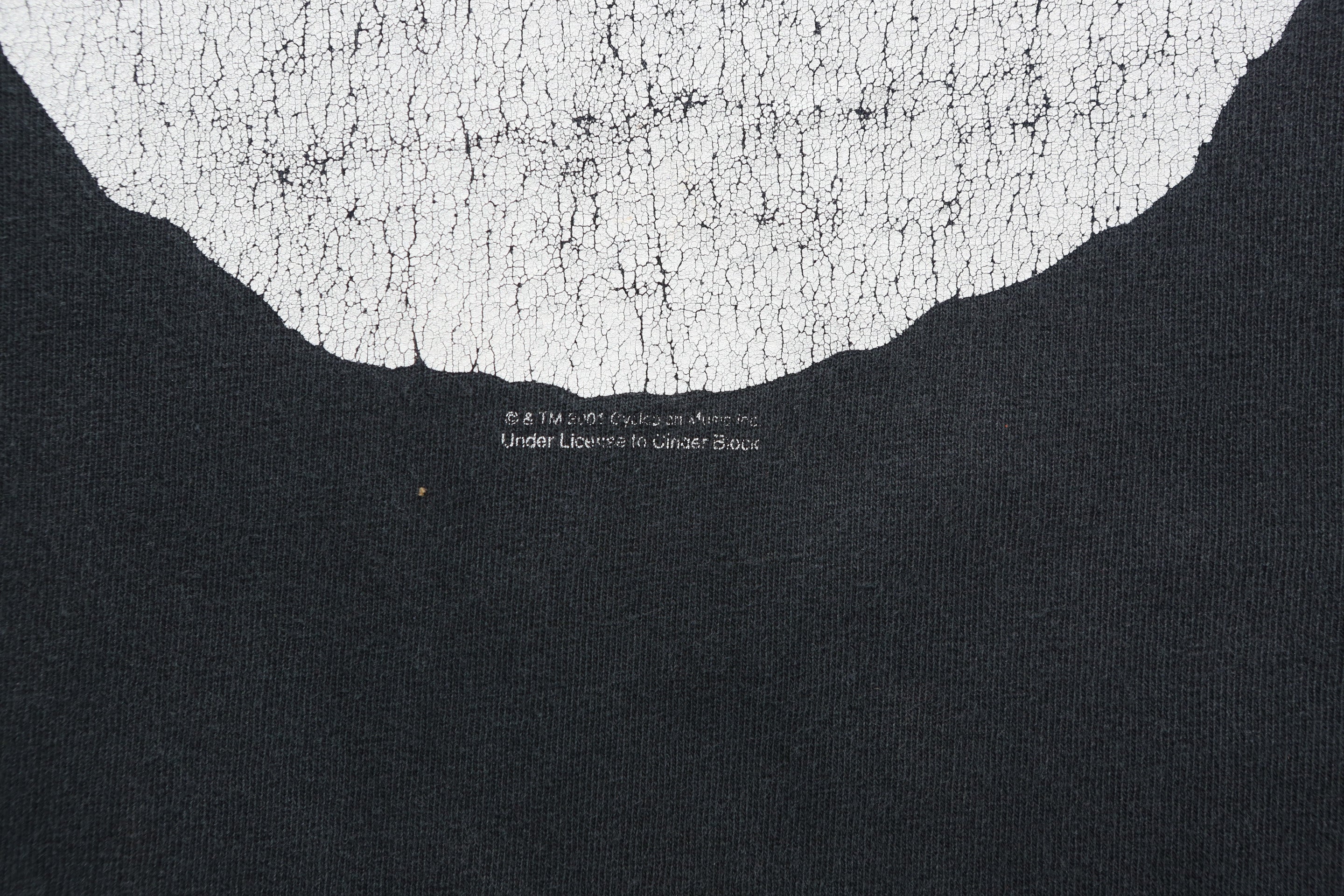 The Misfits Skull Graphic T-shirt