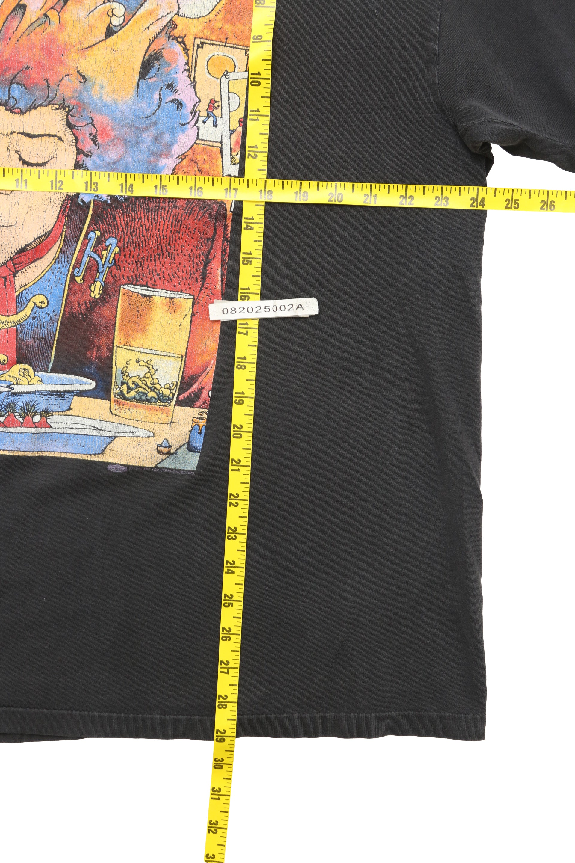 Jimi Hendrix Voodoo Soup Graphic T-shirt