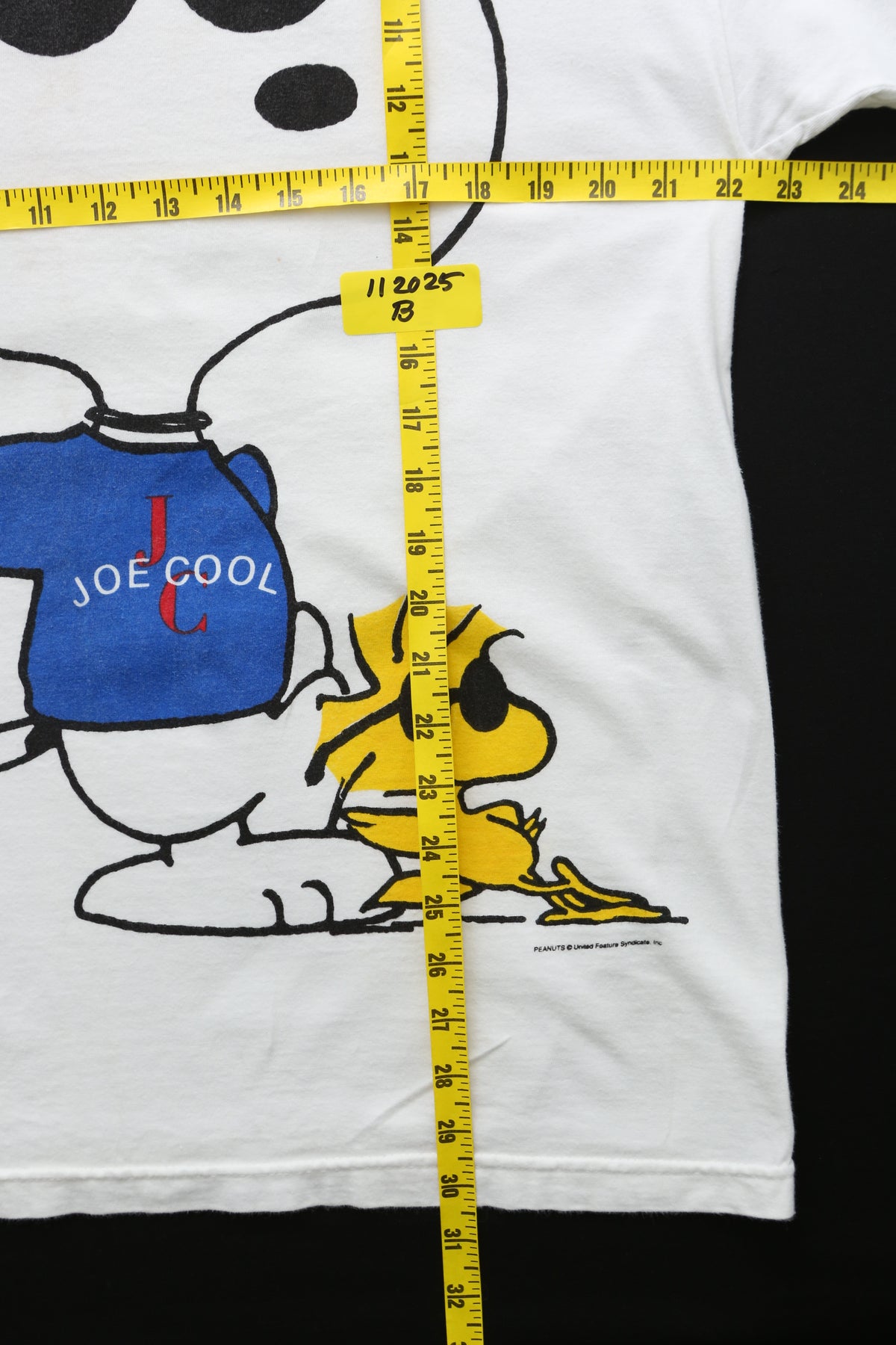 Joe Cool Snoopy and Woodstock Graphic T-shirt
