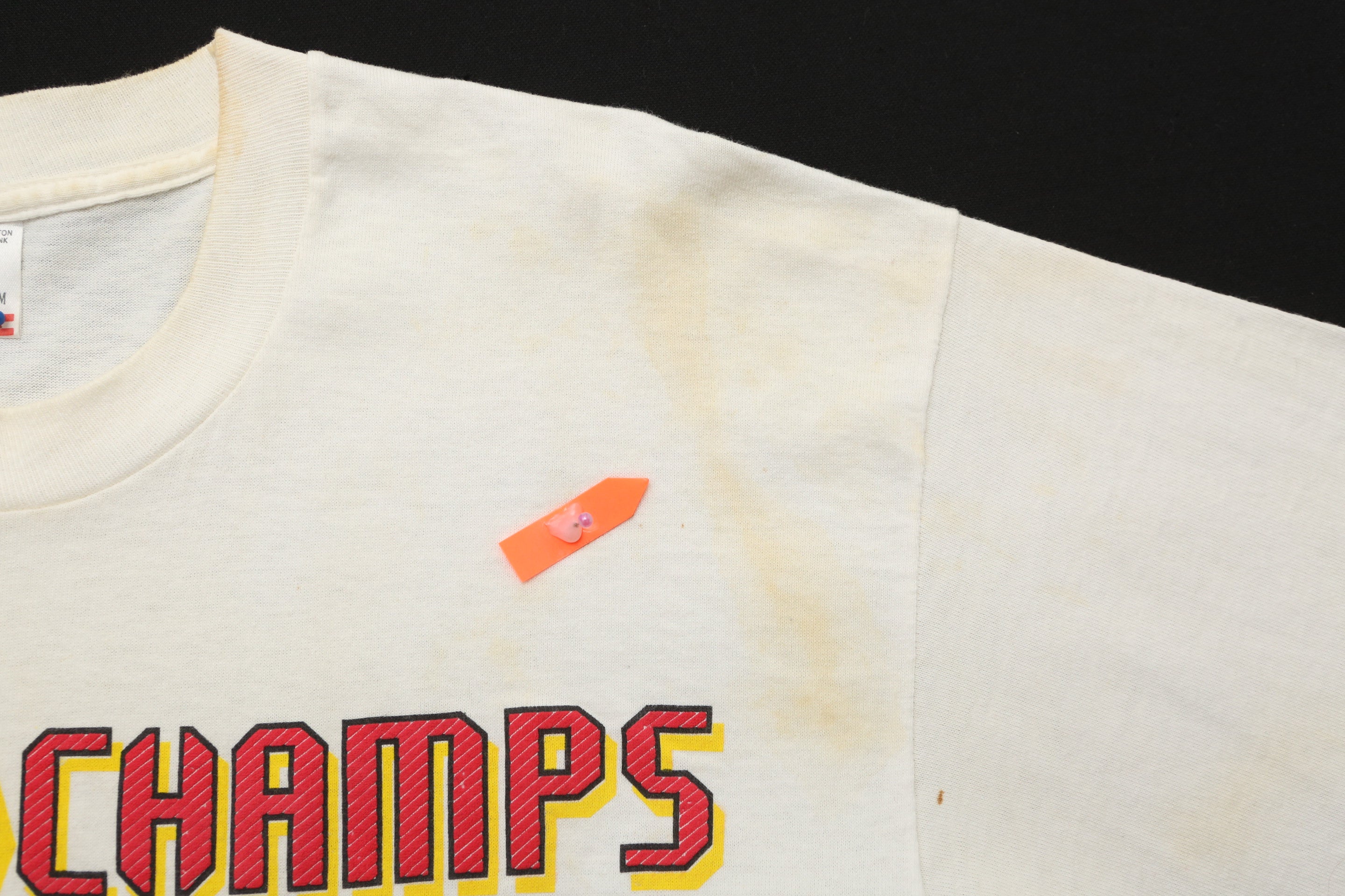 1993 Vintage Chicago Bulls World Champs t-shirt