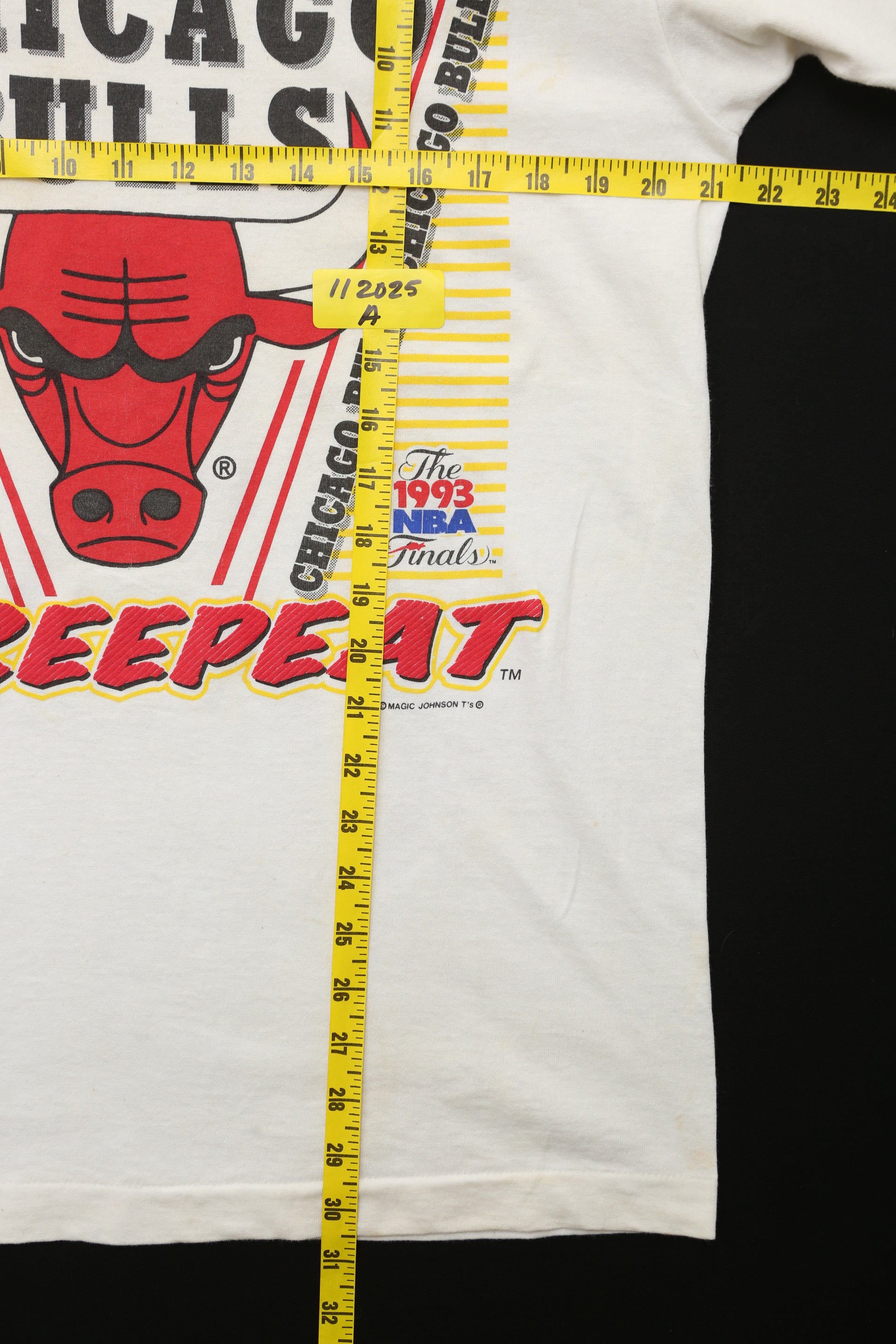 1993 Vintage Chicago Bulls World Champs t-shirt