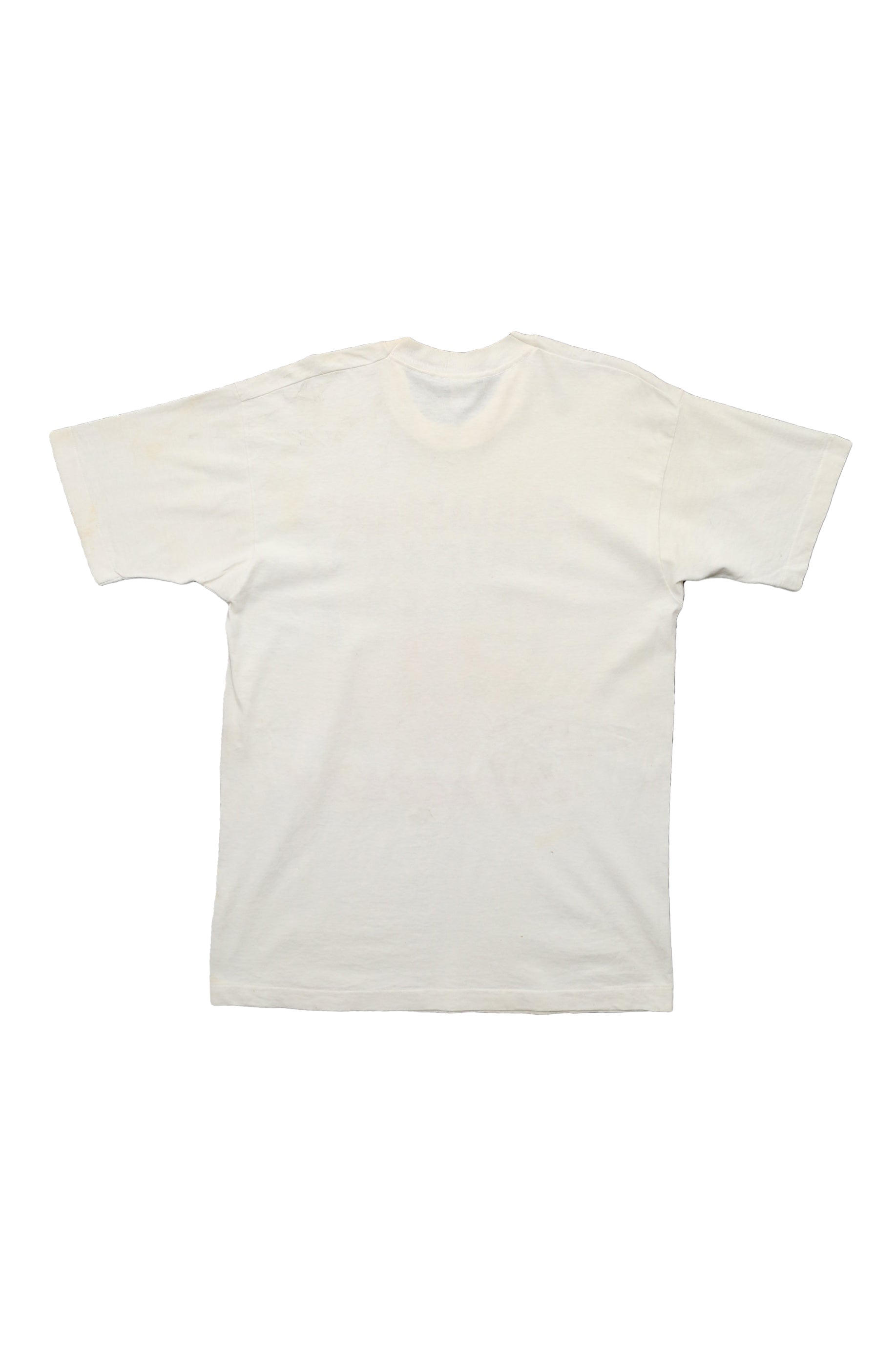 1993 Vintage Chicago Bulls World Champs t-shirt