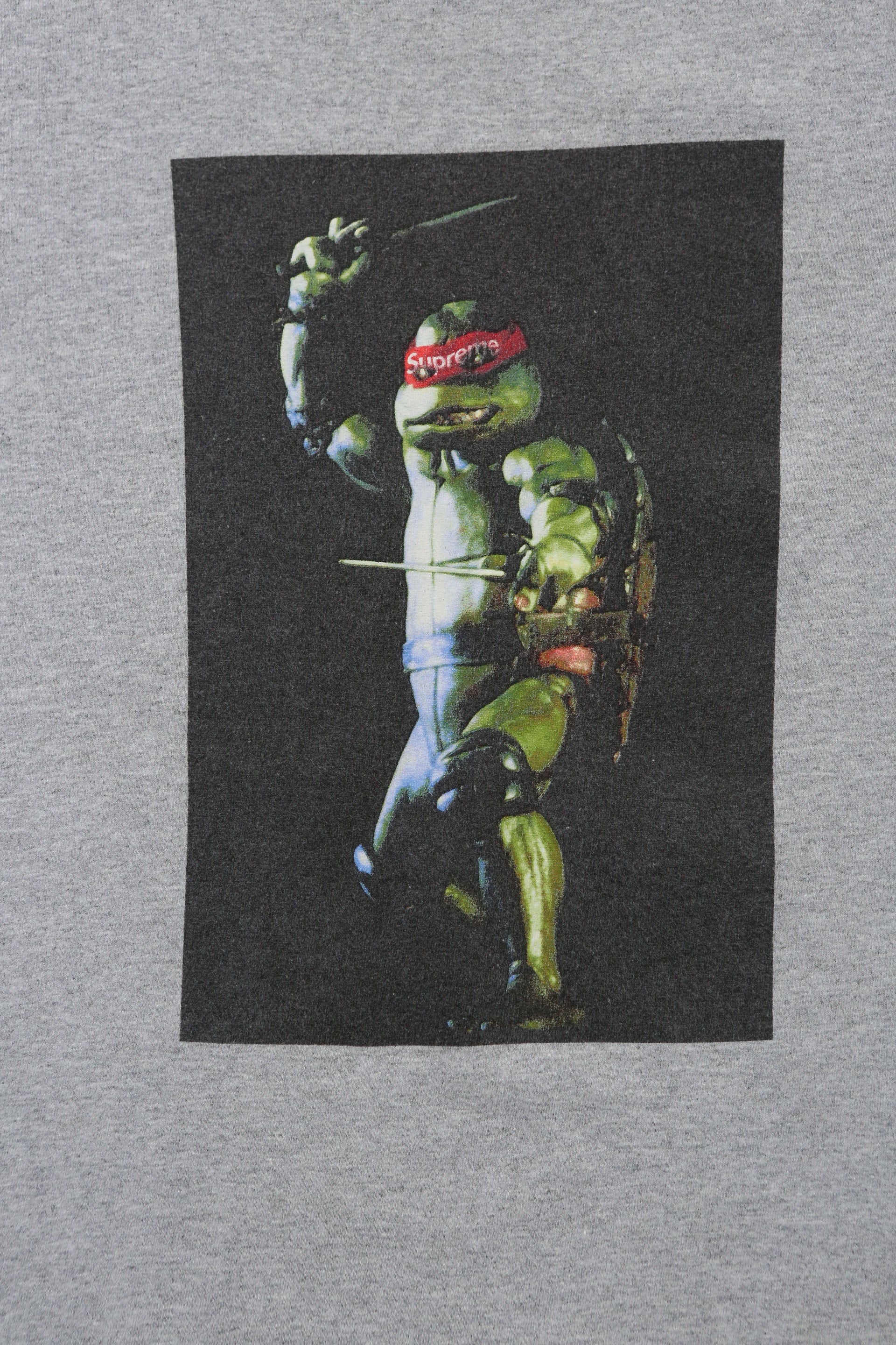 Supreme TMNT Graphic T-shirt