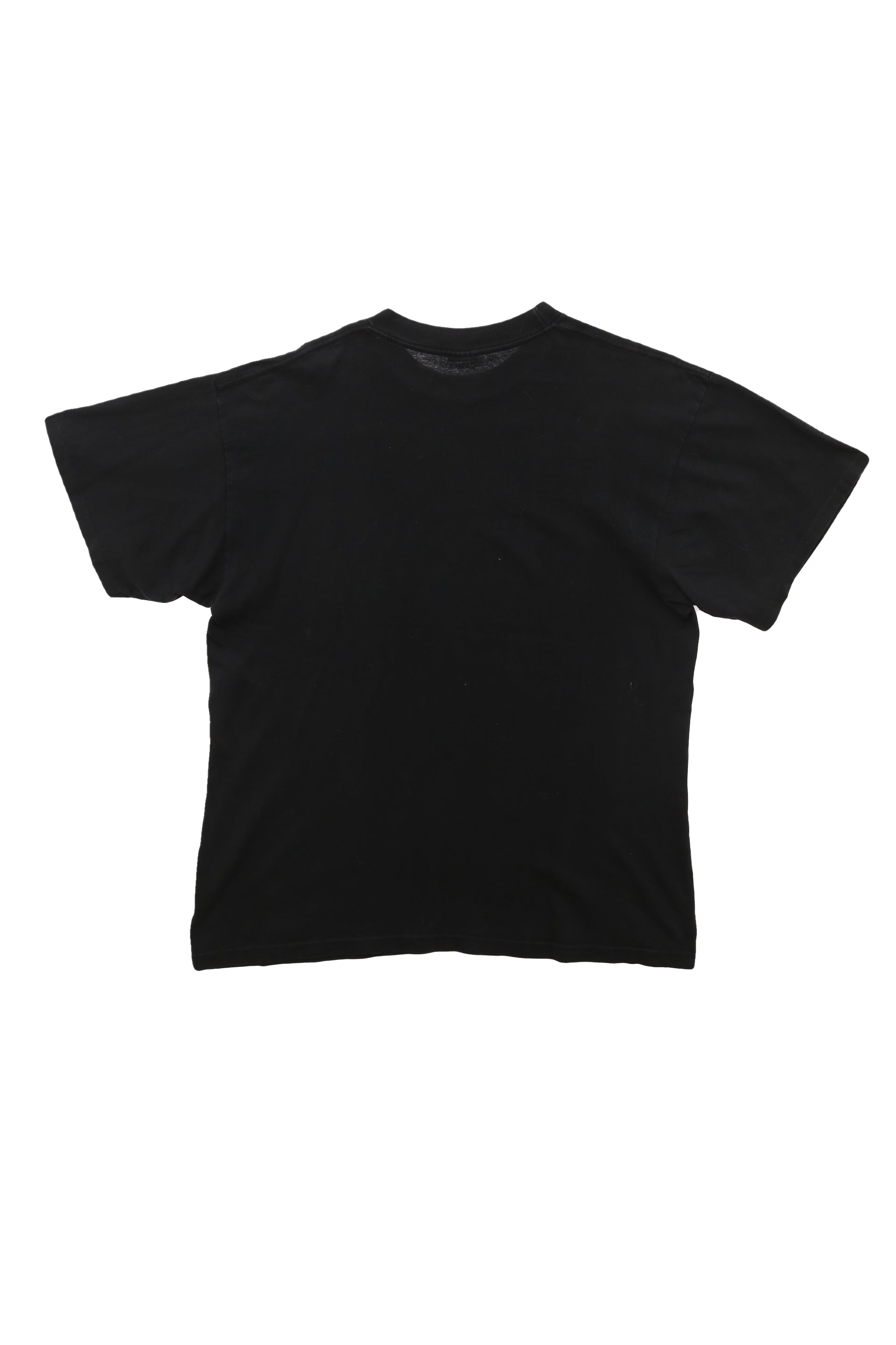 1998 Shania Twain "Come On Over" Portrait tee
