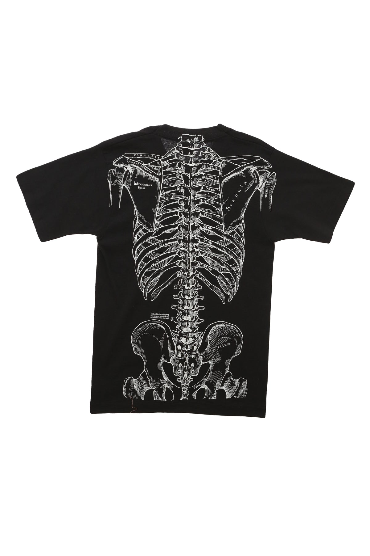 1978 Leslie Arwin Anatomical Skeleton T-shirt
